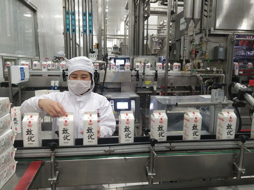 SAP的數字化魔法 點亮光明乳業的鮮奶未來